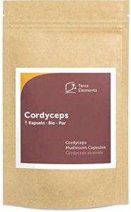 Cordyceps kaufen